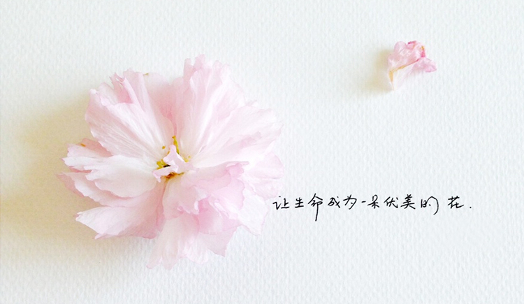 那微笑的个人主页（封面预览） - 主页封面设置 - 站酷设计师那微笑原创素材 - 站酷ZCOOL