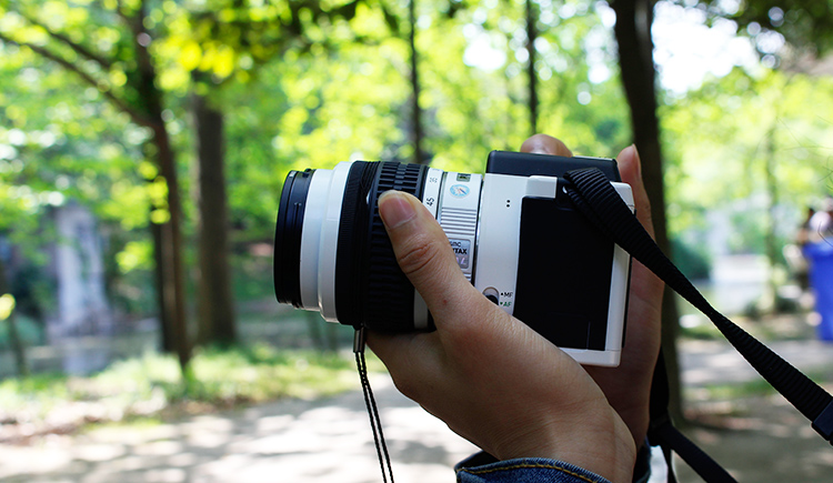 一本正经的吃西瓜的个人主页（封面预览） - 主页封面设置 - 站酷设计师一本正经的吃西瓜原创素材 - 站酷ZCOOL