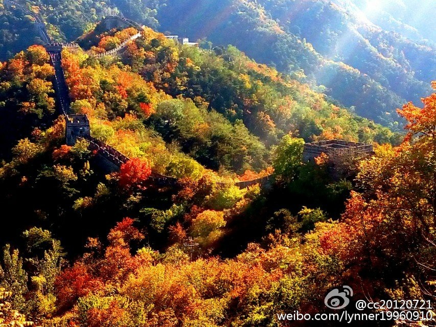 戎菲的个人主页（封面预览） - 主页封面设置 - 站酷设计师戎菲原创素材 - 站酷ZCOOL