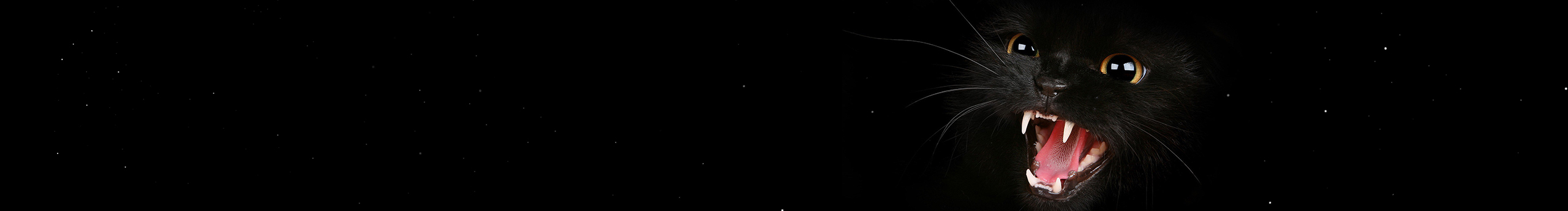 No_Zero的個人主頁（封面預覽） - 主頁封面設置 - 站酷設計師No_Zero原創(chuàng)素材 - 站酷ZCOOL