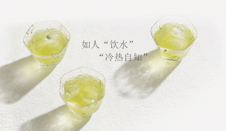 三猫设木白衡的个人主页（封面预览） - 主页封面设置 - 站酷设计师三猫设木白衡原创素材 - 站酷ZCOOL