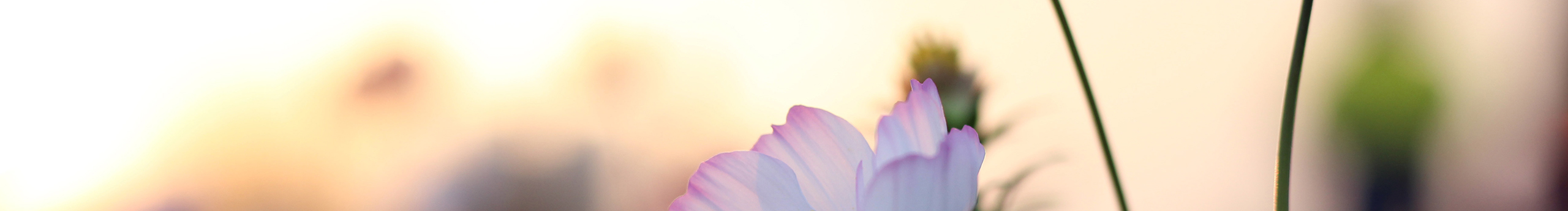 小潔0215的個人主頁（封面預(yù)覽） - 主頁封面設(shè)置 - 站酷設(shè)計師小潔0215原創(chuàng)素材 - 站酷ZCOOL