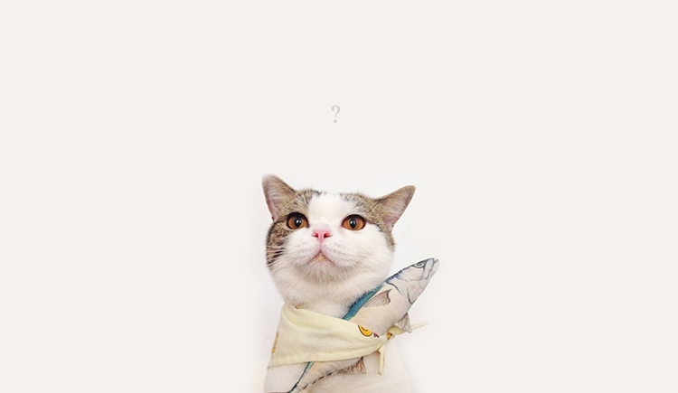 漏馅汤圆的个人主页（封面预览） - 主页封面设置 - 站酷设计师漏馅汤圆原创素材 - 站酷ZCOOL