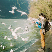 蕓蕓君的個人主頁（封面預覽） - 主頁封面設置 - 站酷設計師蕓蕓君原創(chuàng)素材 - 站酷ZCOOL