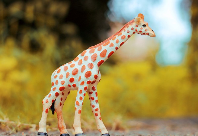 wendy_sun的個(gè)人主頁（封面預(yù)覽） - 主頁封面設(shè)置 - 站酷設(shè)計(jì)師wendy_sun原創(chuàng)素材 - 站酷ZCOOL