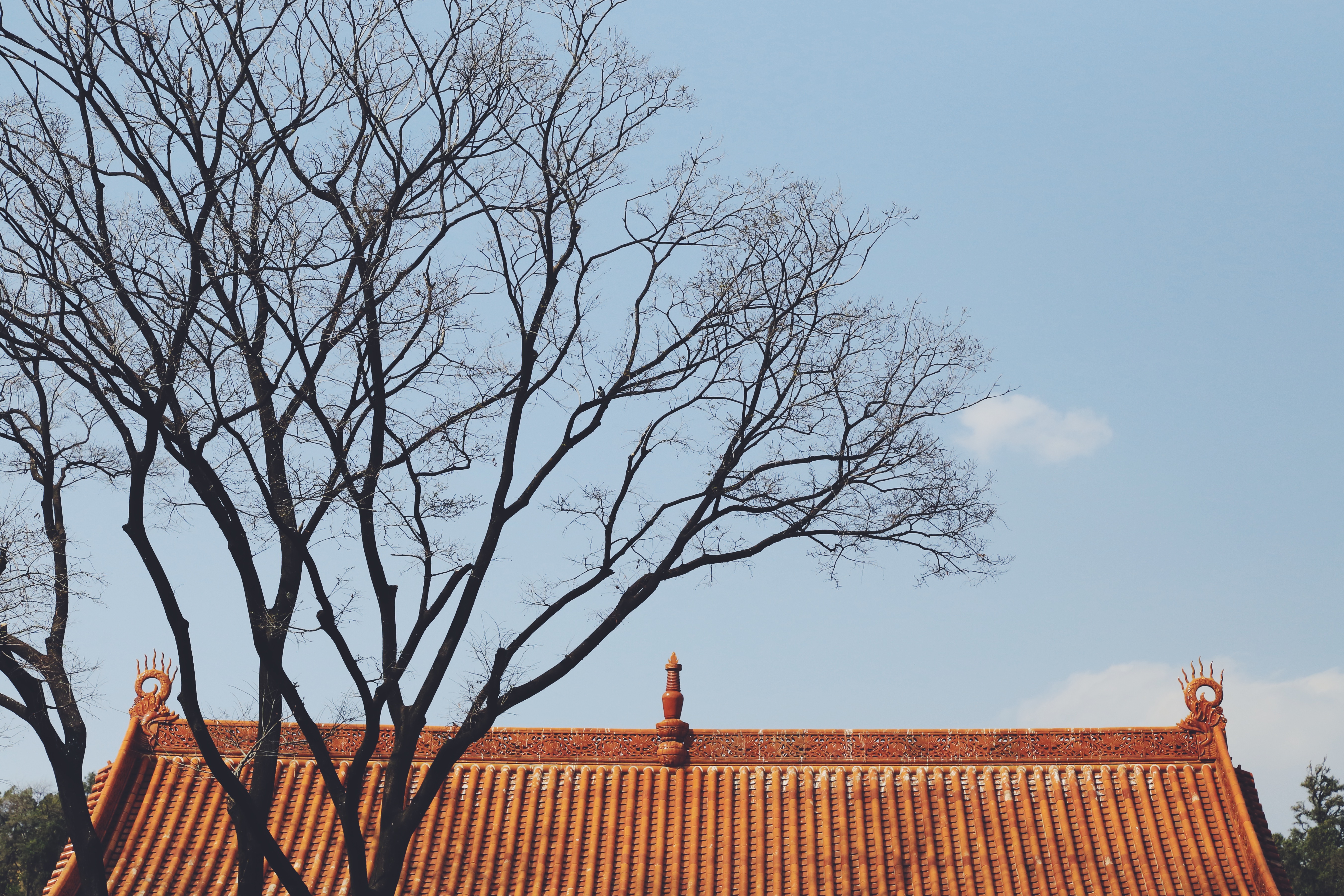 设计师的日常的个人主页（封面预览） - 主页封面设置 - 站酷设计师设计师的日常原创素材 - 站酷ZCOOL