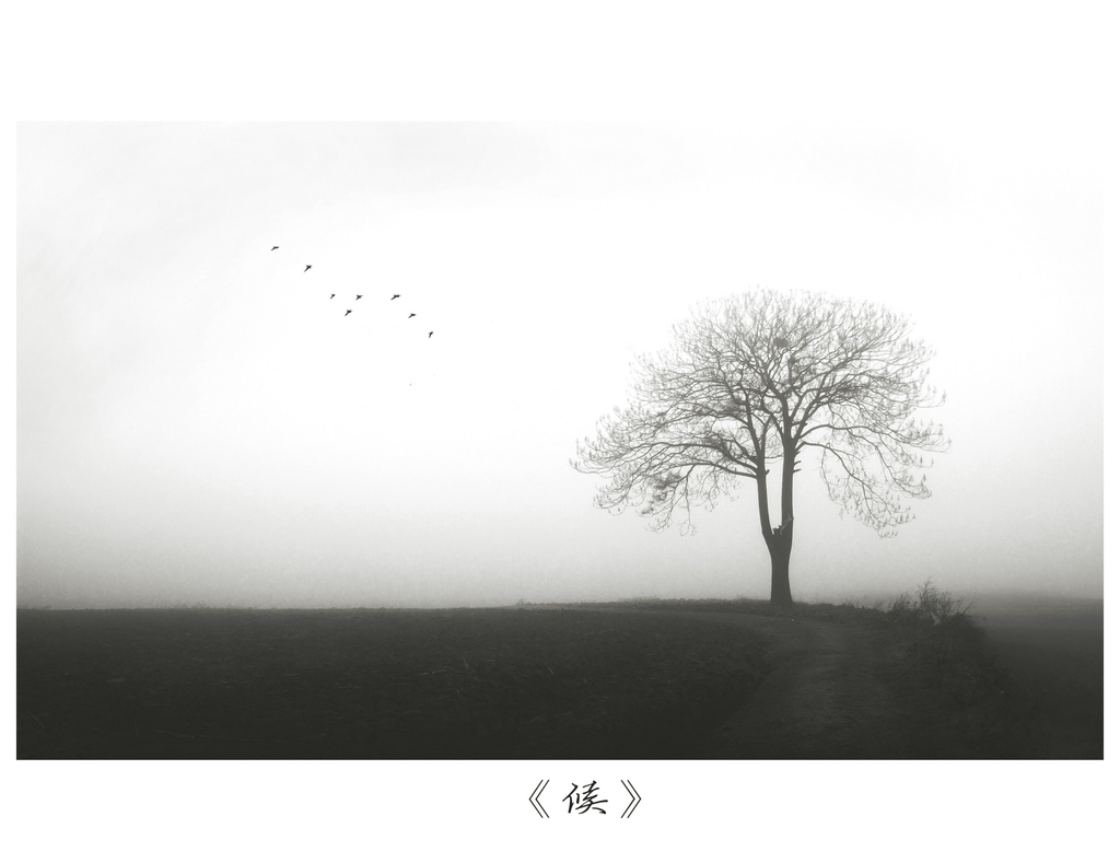 shenjiao的个人主页（封面预览） - 主页封面设置 - 站酷设计师shenjiao原创素材 - 站酷ZCOOL