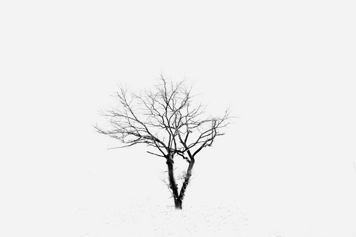 万能先生的个人主页（封面预览） - 主页封面设置 - 站酷设计师万能先生原创素材 - 站酷ZCOOL