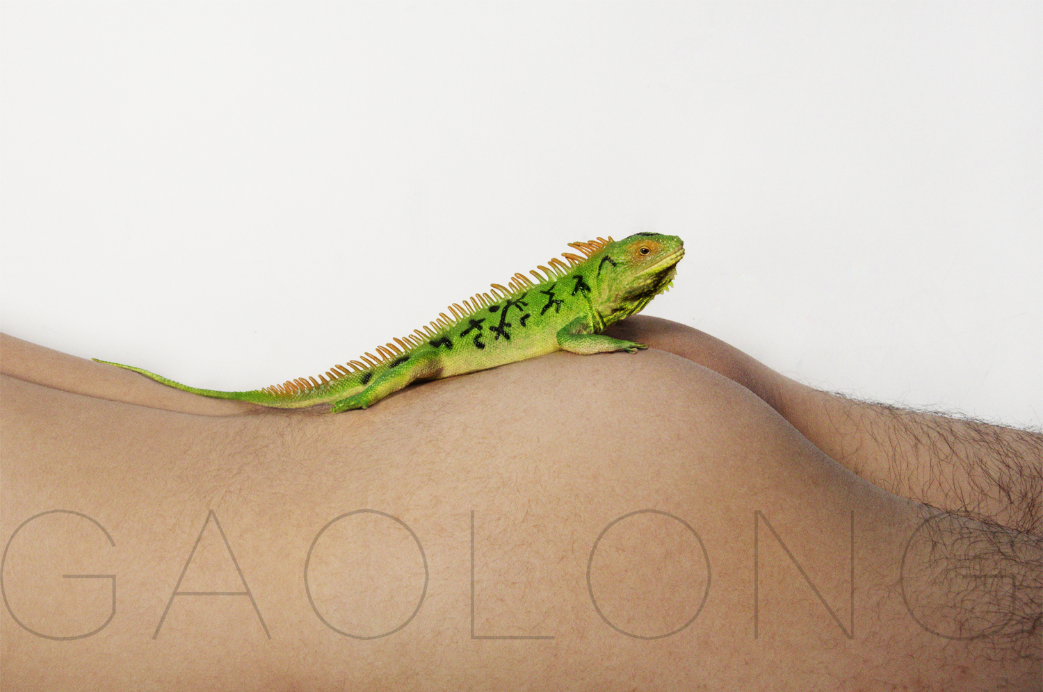 高龍的个人主页（封面预览） - 主页封面设置 - 站酷设计师高龍原创素材 - 站酷ZCOOL