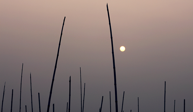 pan_淮子的个人主页（封面预览） - 主页封面设置 - 站酷设计师pan_淮子原创素材 - 站酷ZCOOL