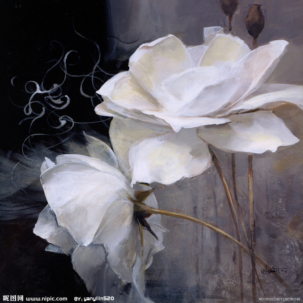 曲曲大腦袋Biu的個(gè)人主頁(yè)（封面預(yù)覽） - 主頁(yè)封面設(shè)置 - 站酷設(shè)計(jì)師曲曲大腦袋Biu原創(chuàng)素材 - 站酷ZCOOL