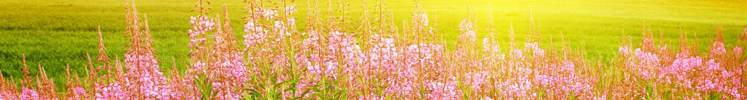 yeelittle的个人主页（封面预览） - 主页封面设置 - 站酷设计师yeelittle原创素材 - 站酷ZCOOL