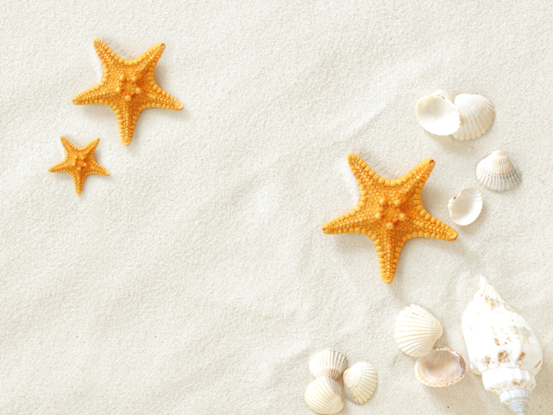 mahuidora的个人主页（封面预览） - 主页封面设置 - 站酷设计师mahuidora原创素材 - 站酷ZCOOL