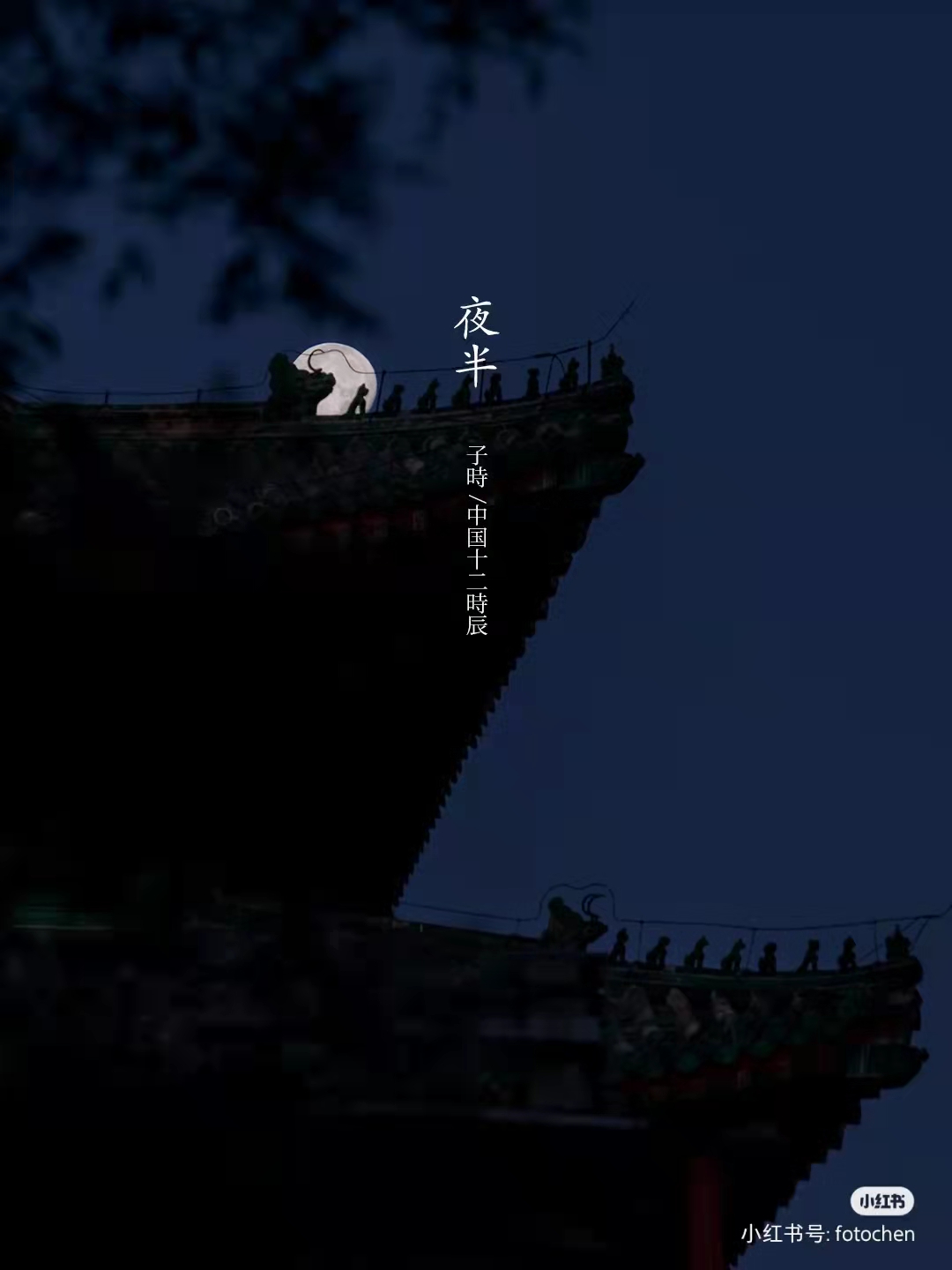 危兒不苦的個(gè)人主頁(yè)（封面預(yù)覽） - 主頁(yè)封面設(shè)置 - 站酷設(shè)計(jì)師危兒不苦原創(chuàng)素材 - 站酷ZCOOL