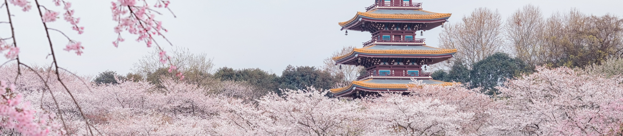 jianyouo的個(gè)人主頁（封面預(yù)覽） - 主頁封面設(shè)置 - 站酷設(shè)計(jì)師jianyouo原創(chuàng)素材 - 站酷ZCOOL