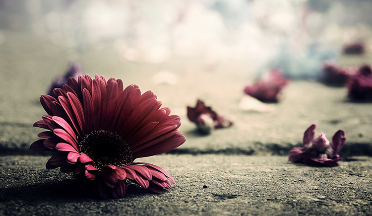 妮妮子的个人主页（封面预览） - 主页封面设置 - 站酷设计师妮妮子原创素材 - 站酷ZCOOL