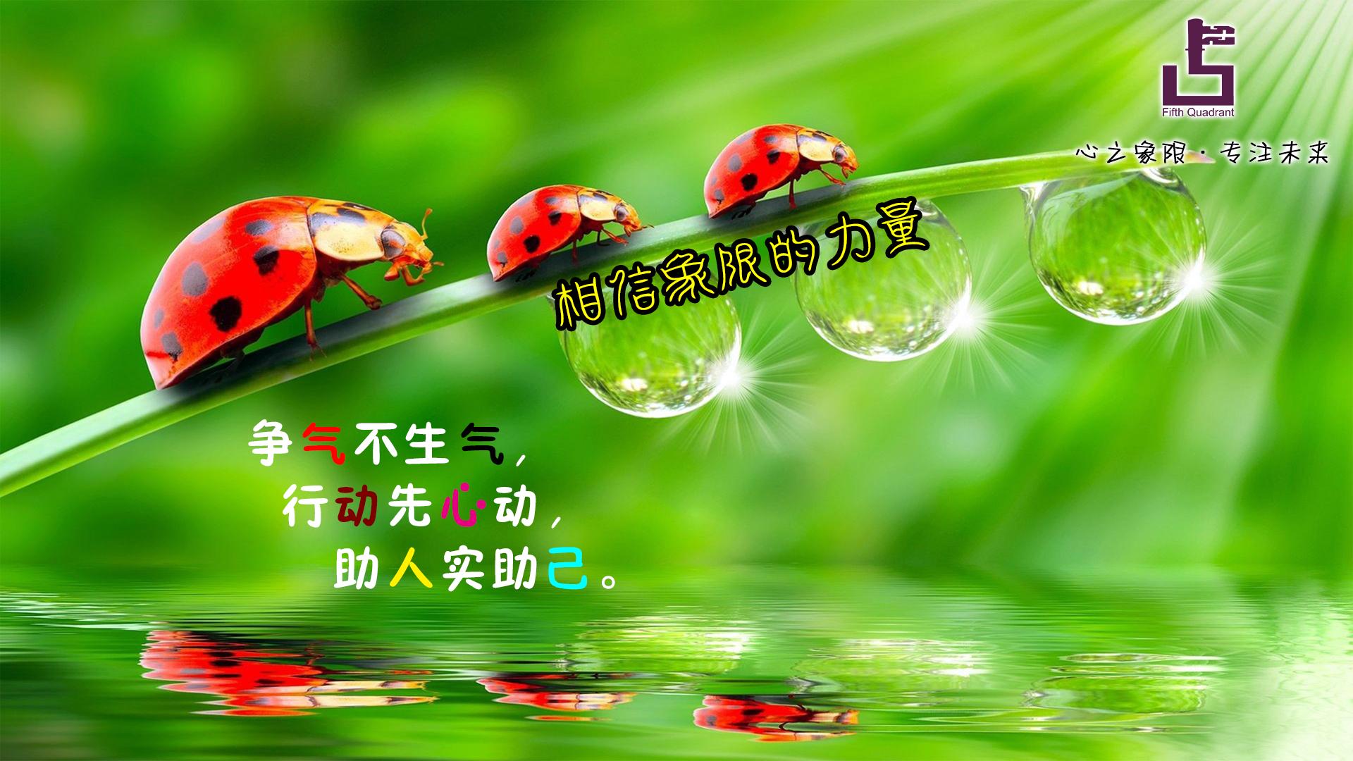 hhh860216的个人主页（封面预览） - 主页封面设置 - 站酷设计师hhh860216原创素材 - 站酷ZCOOL