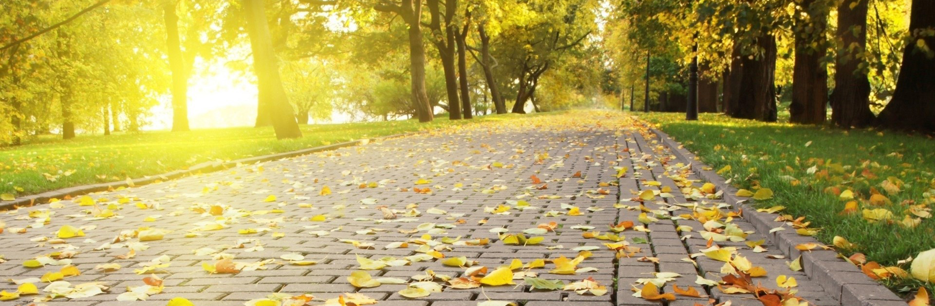 later525的个人主页（封面预览） - 主页封面设置 - 站酷设计师later525原创素材 - 站酷ZCOOL