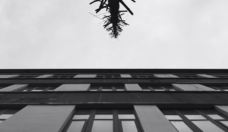 嘿豬兒的個人主頁（封面預覽） - 主頁封面設置 - 站酷設計師嘿豬兒原創(chuàng)素材 - 站酷ZCOOL