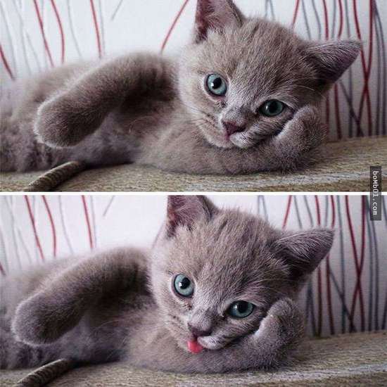 久炙如初的个人主页（封面预览） - 主页封面设置 - 站酷设计师久炙如初原创素材 - 站酷ZCOOL