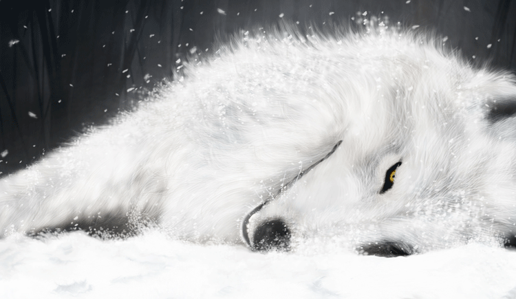reclyo的个人主页（封面预览） - 主页封面设置 - 站酷设计师reclyo原创素材 - 站酷ZCOOL