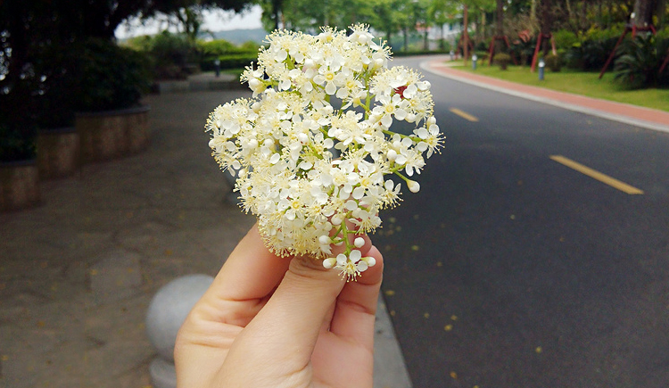 queenie003的個(gè)人主頁(yè)（封面預(yù)覽） - 主頁(yè)封面設(shè)置 - 站酷設(shè)計(jì)師queenie003原創(chuàng)素材 - 站酷ZCOOL