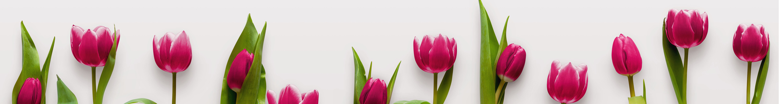 調(diào)兒工作室的個人主頁（封面預(yù)覽） - 主頁封面設(shè)置 - 站酷設(shè)計師調(diào)兒工作室原創(chuàng)素材 - 站酷ZCOOL