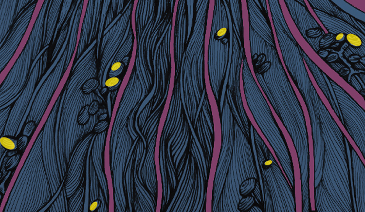 米吃鹿的个人主页（封面预览） - 主页封面设置 - 站酷设计师米吃鹿原创素材 - 站酷ZCOOL