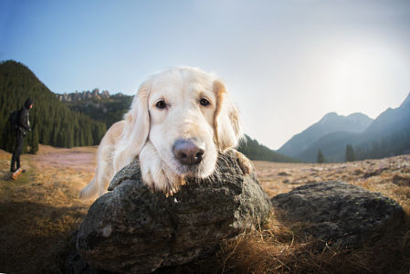 瑾瑾瑾瑾瑾的个人主页（封面预览） - 主页封面设置 - 站酷设计师瑾瑾瑾瑾瑾原创素材 - 站酷ZCOOL
