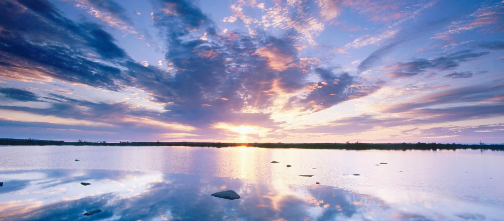 短腿牛的個(gè)人主頁(yè)（封面預(yù)覽） - 主頁(yè)封面設(shè)置 - 站酷設(shè)計(jì)師短腿牛原創(chuàng)素材 - 站酷ZCOOL