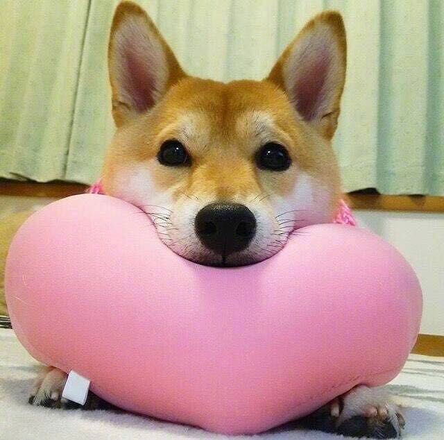 黑蛋君的个人主页（封面预览） - 主页封面设置 - 站酷设计师黑蛋君原创素材 - 站酷ZCOOL