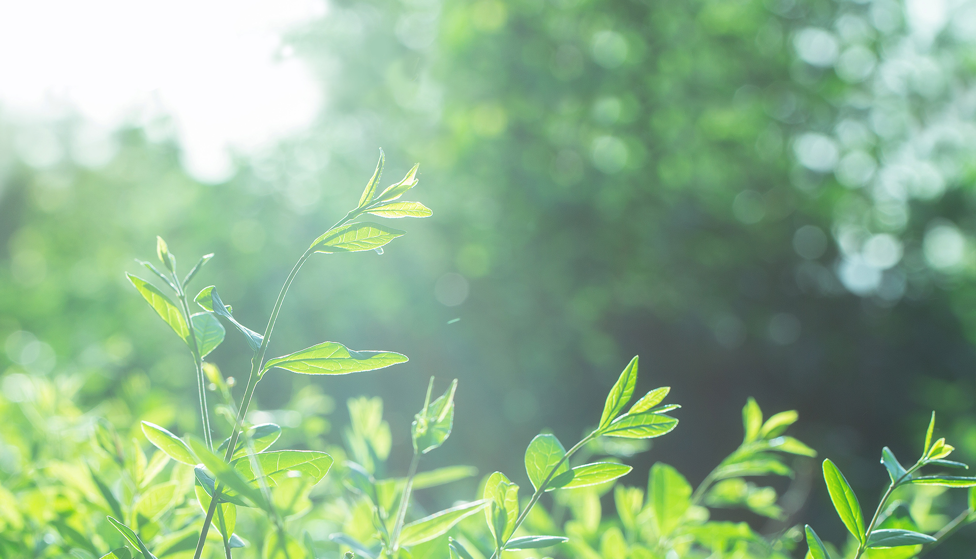 明月清风设计的个人主页（封面预览） - 主页封面设置 - 站酷设计师明月清风设计原创素材 - 站酷ZCOOL