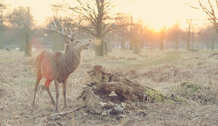 愛情不說話的個人主頁（封面預覽） - 主頁封面設置 - 站酷設計師愛情不說話原創(chuàng)素材 - 站酷ZCOOL