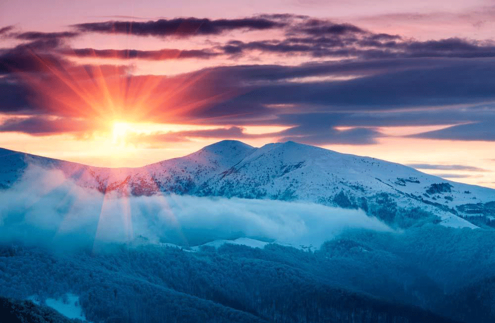 青青Z的个人主页（封面预览） - 主页封面设置 - 站酷设计师青青Z原创素材 - 站酷ZCOOL