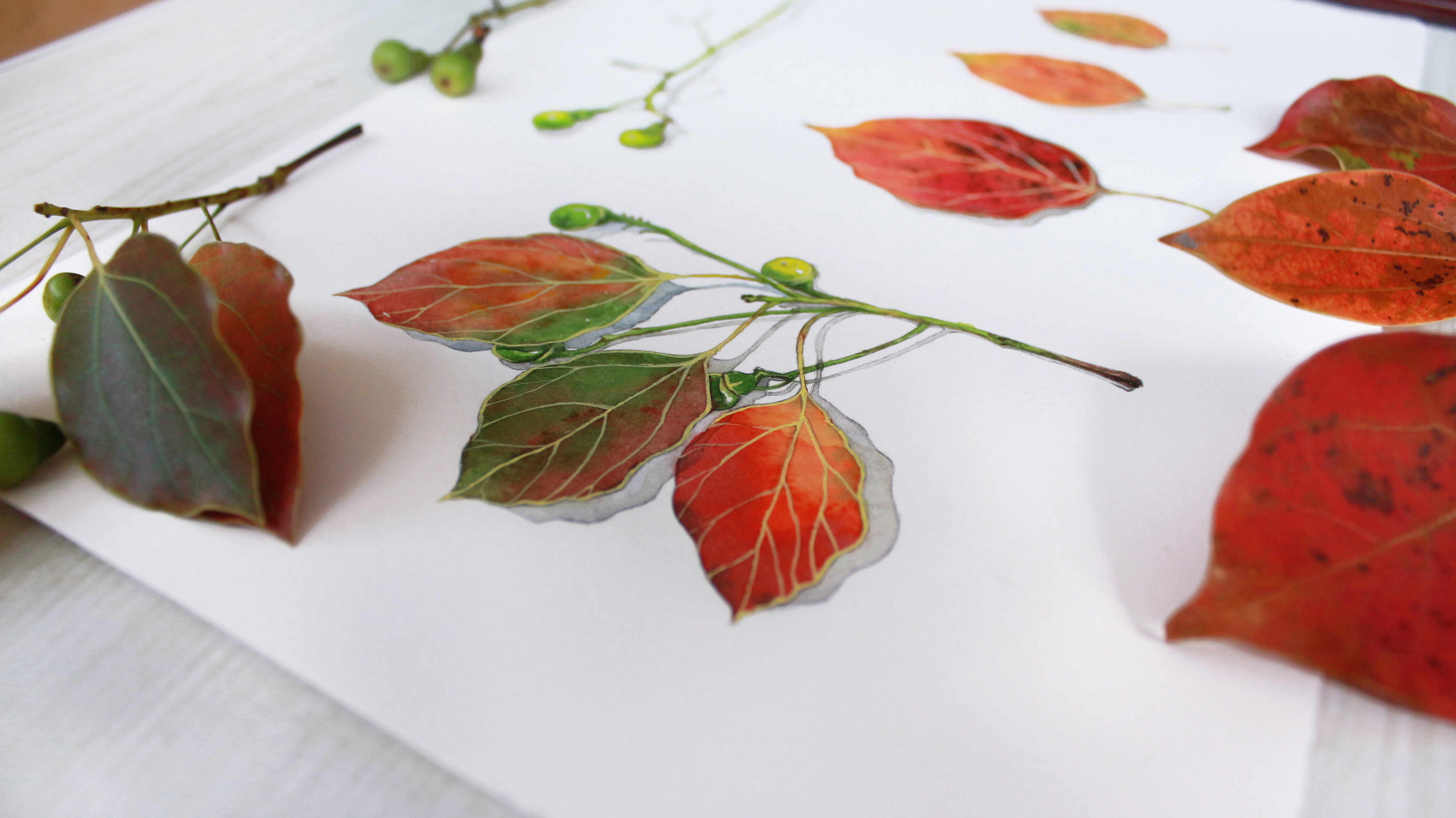 陈叉子的个人主页（封面预览） - 主页封面设置 - 站酷设计师陈叉子原创素材 - 站酷ZCOOL