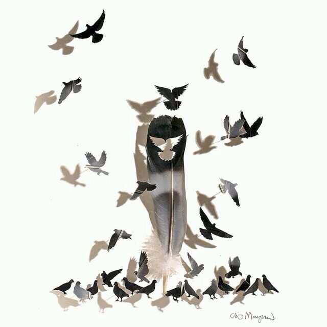 W甲刚的个人主页（封面预览） - 主页封面设置 - 站酷设计师W甲刚原创素材 - 站酷ZCOOL