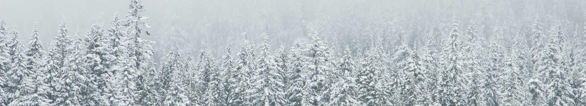 bobofeng的个人主页（封面预览） - 主页封面设置 - 站酷设计师bobofeng原创素材 - 站酷ZCOOL