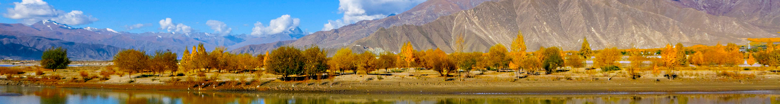 AngleYY的个人主页（封面预览） - 主页封面设置 - 站酷设计师AngleYY原创素材 - 站酷ZCOOL