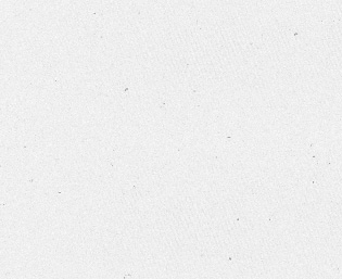 ziyoou的個人主頁（封面預覽） - 主頁封面設置 - 站酷設計師ziyoou原創(chuàng)素材 - 站酷ZCOOL