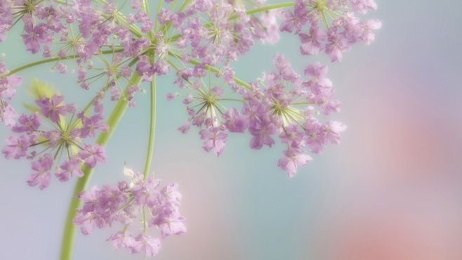 小小zxiao的個人主頁（封面預(yù)覽） - 主頁封面設(shè)置 - 站酷設(shè)計師小小zxiao原創(chuàng)素材 - 站酷ZCOOL