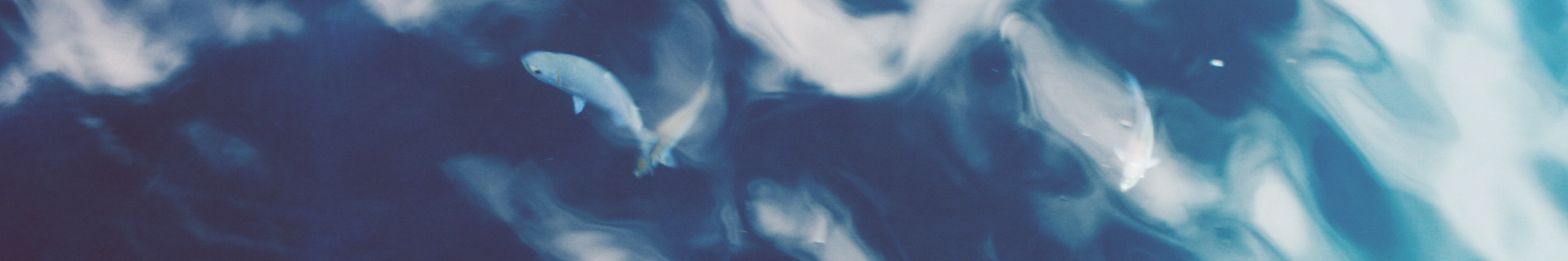 Air0115的个人主页（封面预览） - 主页封面设置 - 站酷设计师Air0115原创素材 - 站酷ZCOOL