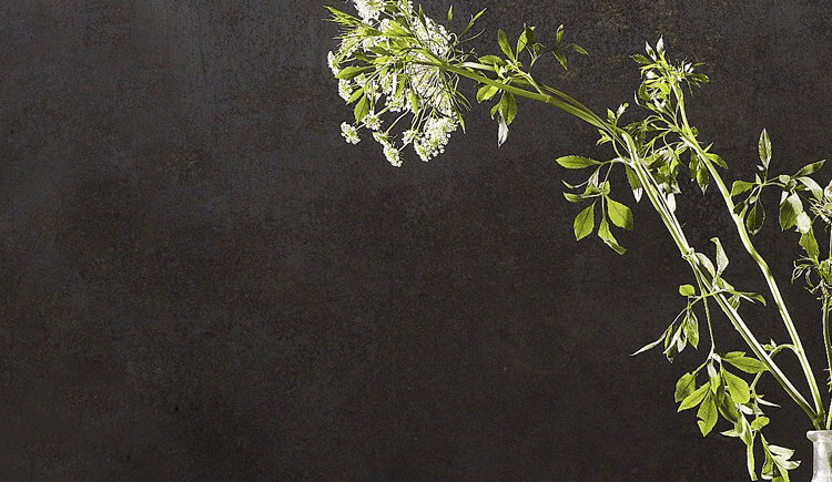 pansyfun的個人主頁（封面預覽） - 主頁封面設置 - 站酷設計師pansyfun原創(chuàng)素材 - 站酷ZCOOL