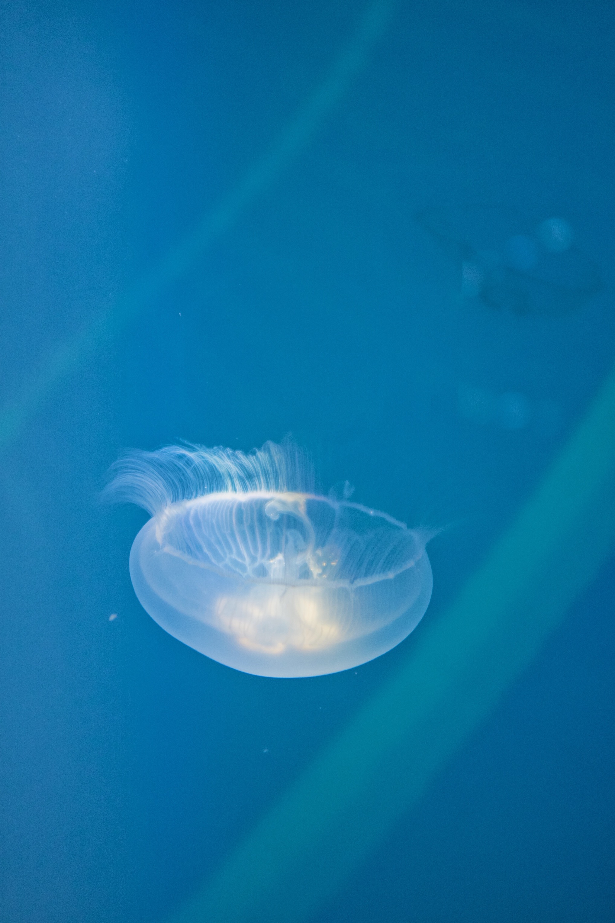 ennui_lee的個(gè)人主頁（封面預(yù)覽） - 主頁封面設(shè)置 - 站酷設(shè)計(jì)師ennui_lee原創(chuàng)素材 - 站酷ZCOOL