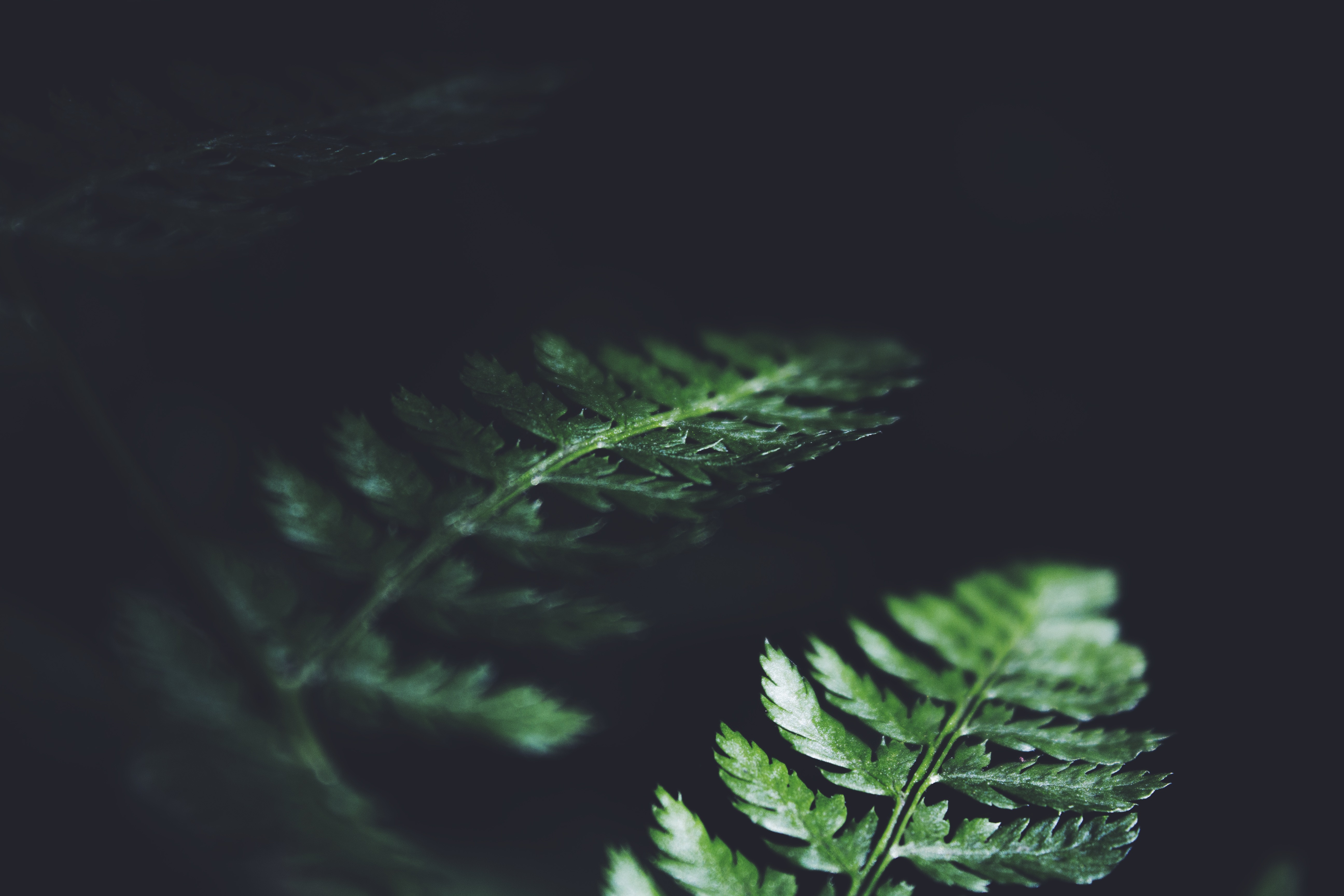 東無的个人主页（封面预览） - 主页封面设置 - 站酷设计师東無原创素材 - 站酷ZCOOL