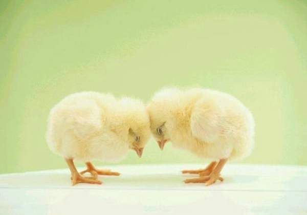 姚小东的个人主页（封面预览） - 主页封面设置 - 站酷设计师姚小东原创素材 - 站酷ZCOOL