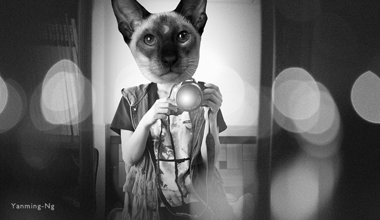 Xiaoming88526的个人主页（封面预览） - 主页封面设置 - 站酷设计师Xiaoming88526原创素材 - 站酷ZCOOL