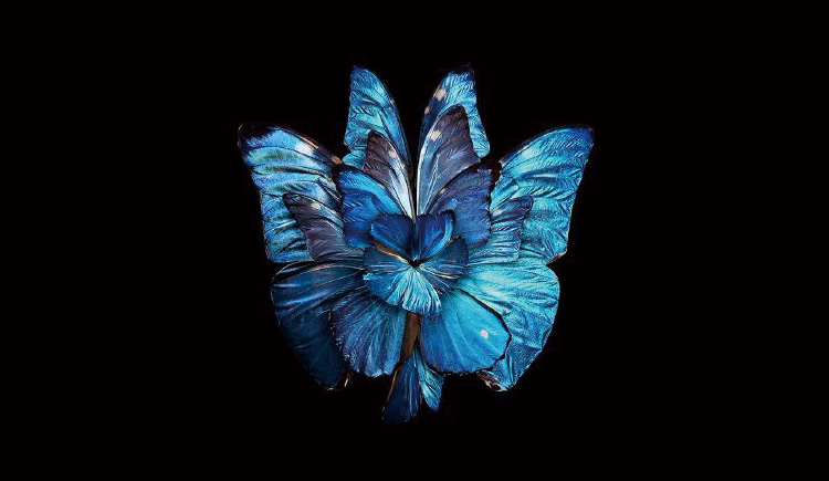 酱紫0627的个人主页（封面预览） - 主页封面设置 - 站酷设计师酱紫0627原创素材 - 站酷ZCOOL