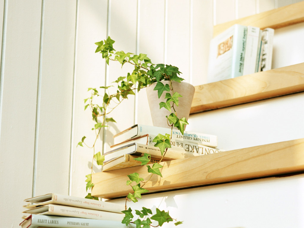 F醬sama的個人主頁（封面預(yù)覽） - 主頁封面設(shè)置 - 站酷設(shè)計(jì)師F醬sama原創(chuàng)素材 - 站酷ZCOOL