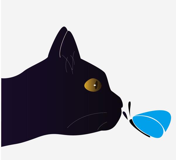 kcbcom的个人主页（封面预览） - 主页封面设置 - 站酷设计师kcbcom原创素材 - 站酷ZCOOL