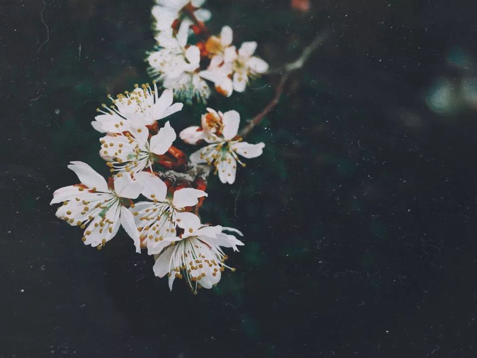 CHRIS_LONG的个人主页（封面预览） - 主页封面设置 - 站酷设计师CHRIS_LONG原创素材 - 站酷ZCOOL